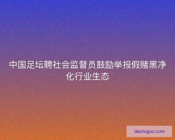 中国足坛聘社会监督员鼓励举报假赌黑净化行业生态